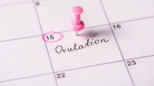 How Do You Check Your Cervical Mucus To See If You're Ovulating?