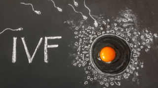 IVF: What to Know About In Vitro Fertilisation?