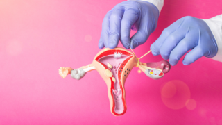 How Blocked Fallopian Tubes Affect Fertility?