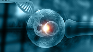 Time-Lapse Embryo Monitoring: What It Means for Your IVF Journey