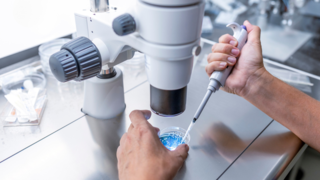 Fertility Preservation for Cancer Patients: What You Need to Know