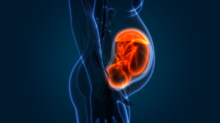 Foetal Growth Restriction (FGR/IUGR): Types, Causes, and Diagnosis