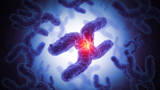 Understanding Chromosomal Translocations and Their Impact on Conception