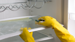 How Household Chemicals and Cleaning Products Might Impact Fertility