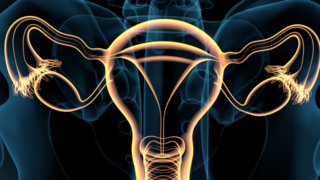 Kallmann Syndrome and Delayed Puberty-Related Infertility
