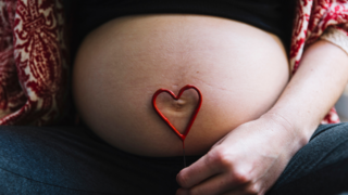 The Role of The Placenta: More Than Just a Nutrient Pipeline