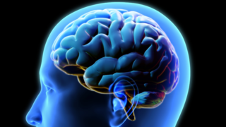Neuroplasticity During Pregnancy: How Your Brain Literally Rewires
