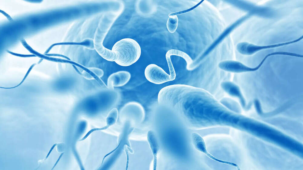 sperm