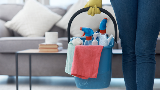 Is Your Home Pregnancy-Safe? Detergents, Floor Cleaners, and Mosquito Repellents Under the Microscope