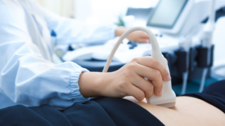 How Doctors Count Your Eggs with an Ultrasound