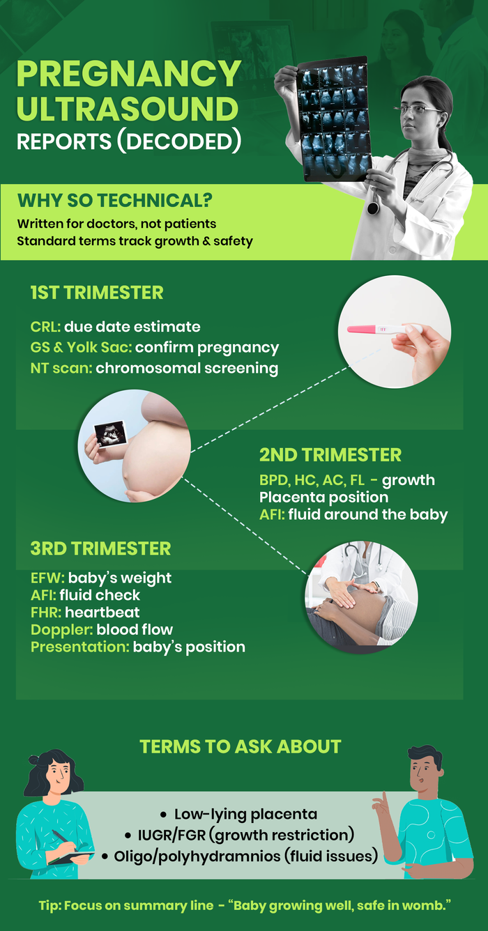 How to Read Your Pregnancy Scan Report: What Do All Those Abbreviations Mean?