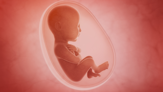 How the Baby’s Position Inside the Womb Affects Labour