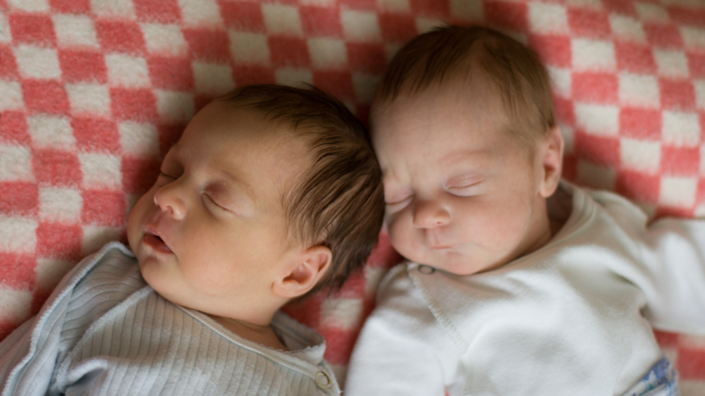 twins
