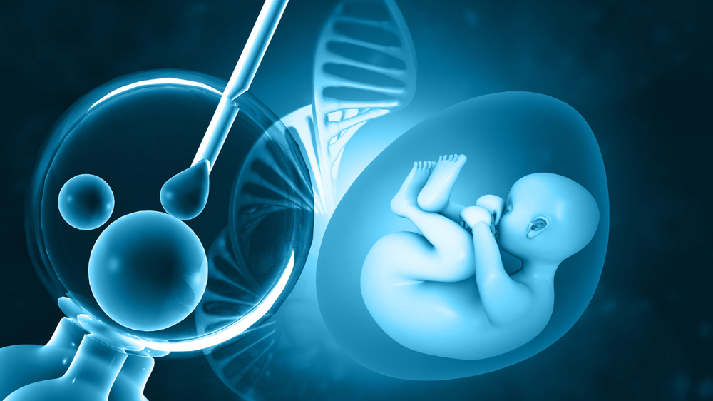 Embryo