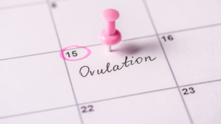 Late Ovulation and Pregnancy Chances: What You Need to Know Late Ovulation and Pregnancy Chances: What You Need to Know