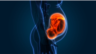 How Your Spine Adapts to Carry the Weight of Your Growing Baby