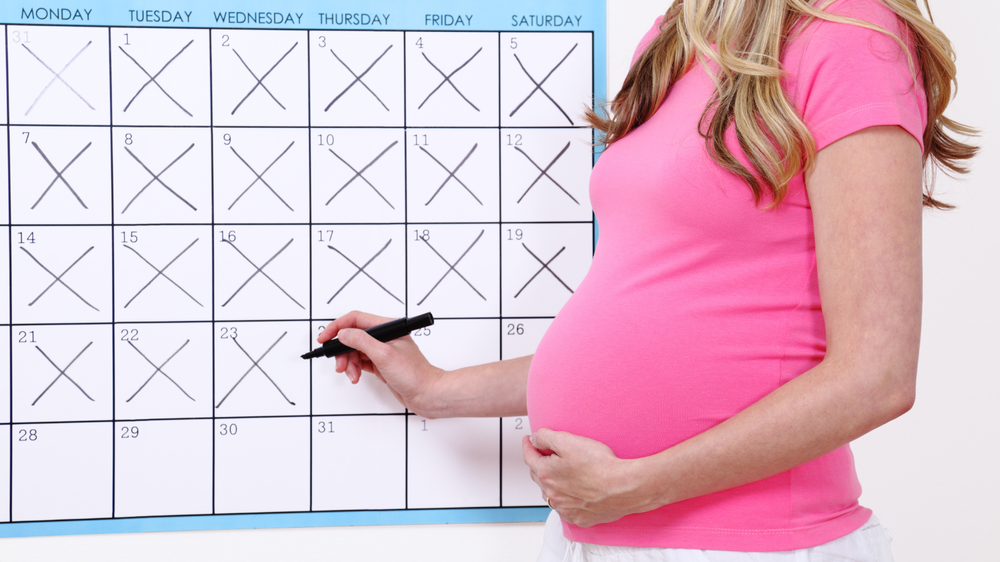 pregnant woman calendar