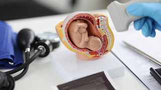 The Science of Screen-Free Audio for Infants and Early Brain Health