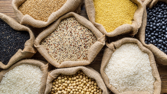 How Millet-Based Diets Impact Pregnancy Energy Levels