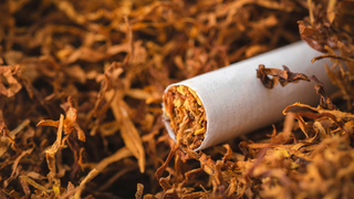 How Tobacco Impacts Iron Absorption and Anaemia in Pregnancy