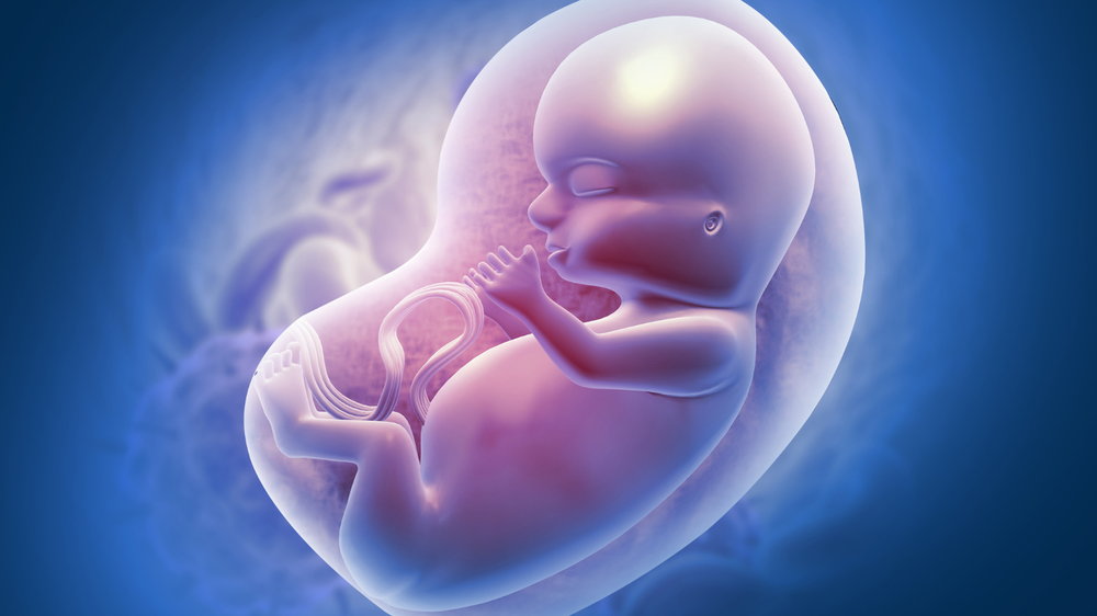 How the Baby’s Protective Coating (Vernix) Builds Up Inside