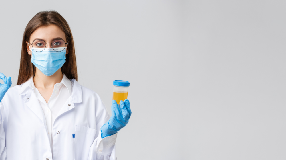 Should You Choose a Blood Test or Urine Test in Early Pregnancy?