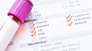 Why Progesterone Plays a Key Role During Implantation