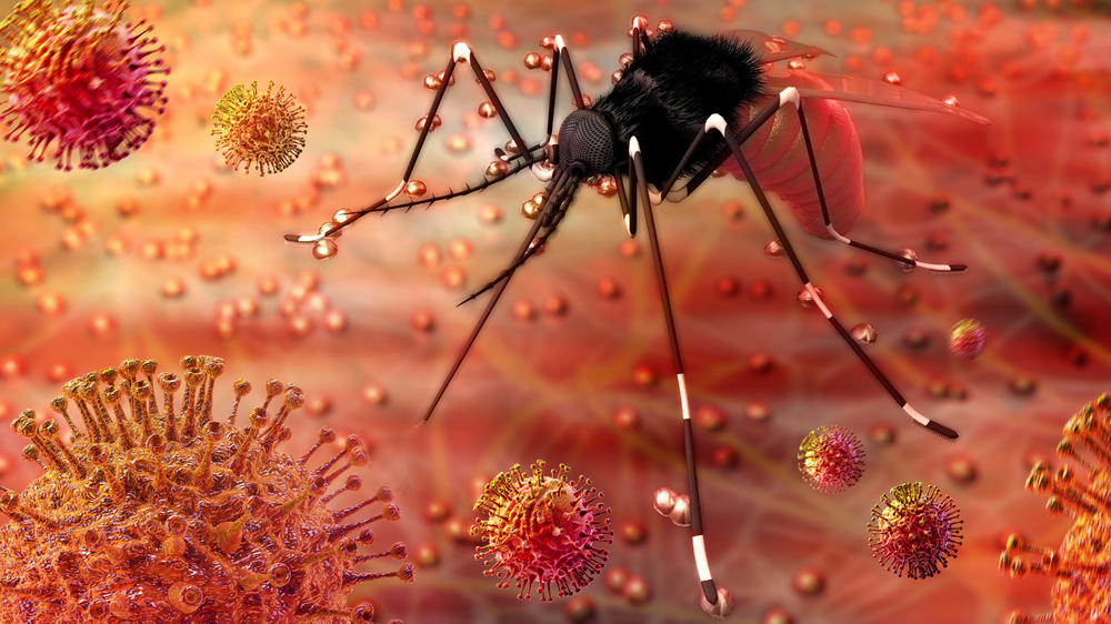 Zika Virus During  Pregnancy: What Expecting Parents Need to Know