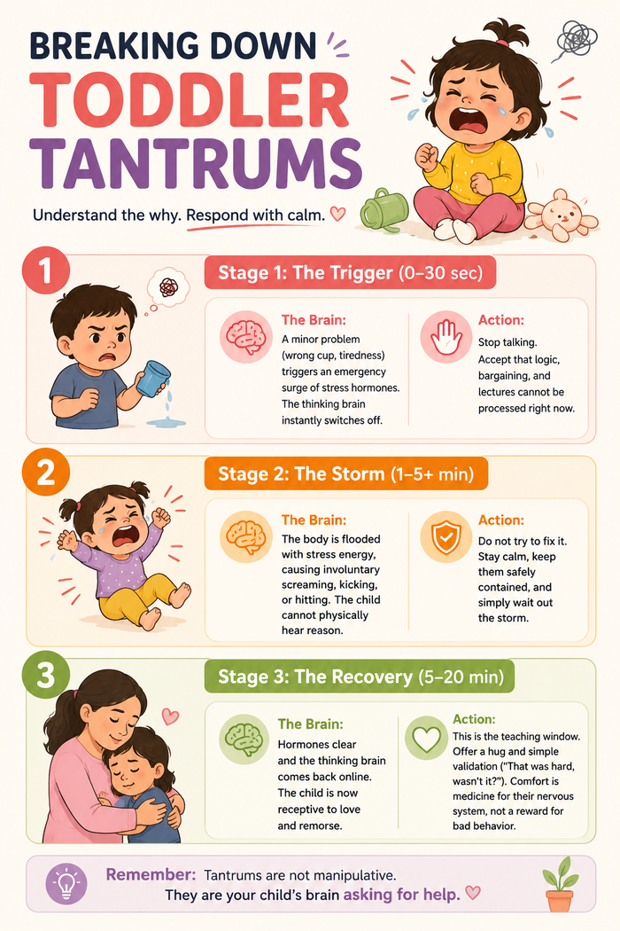 toddler tantrum inside image