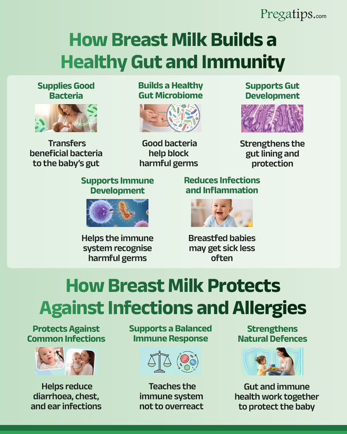 08-Breast-Milk