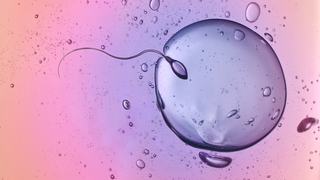Blighted Ovum Explained: Myths, Facts, and What to Know