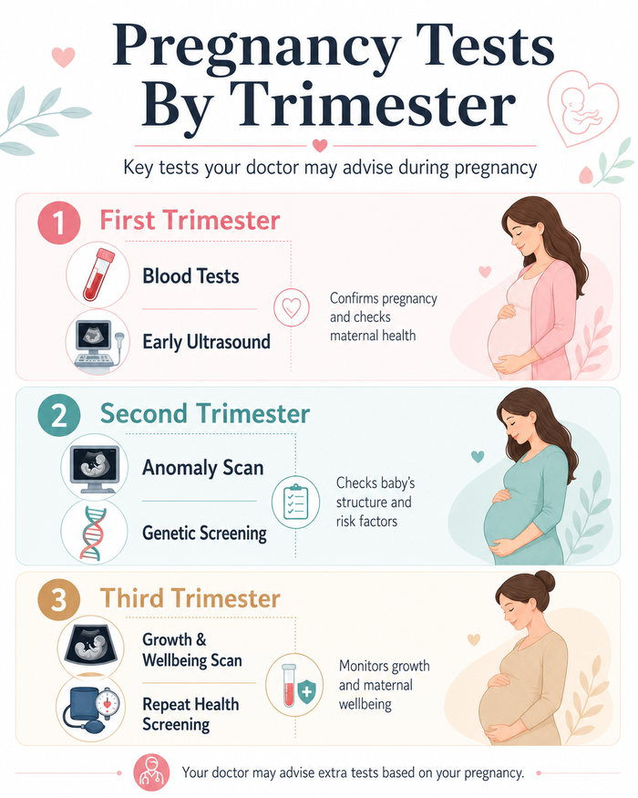 Pregnancy tests for each trimester