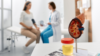 Is Pregnancy Safe With Chronic Kidney Disease?