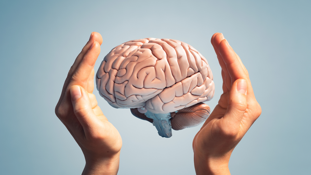 What Does the Brain Have to Do With PCOS? Understanding the Science Behind It
