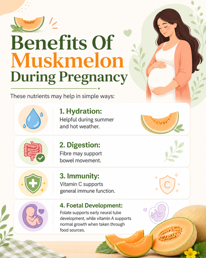 benefits of muskmelon in pregnancy