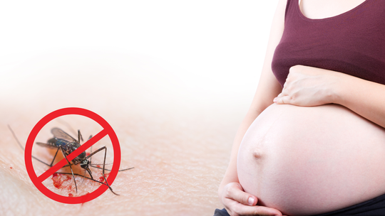 Dengue During Pregnancy In Monsoon: Is It Dangerous and How to Stay Safe?