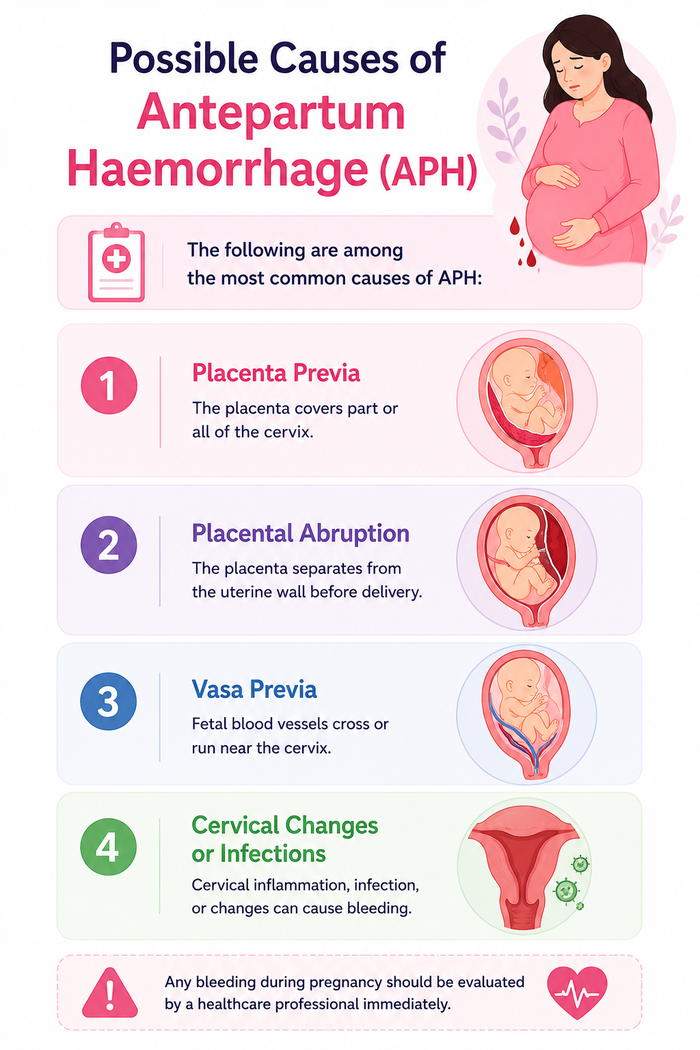 bleeding in late pregnancy