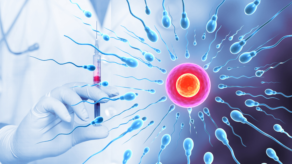 Single vs Double Embryo Transfer: Which Option Is Right for You?