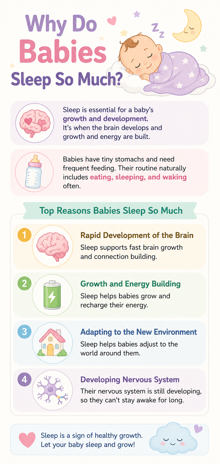 baby sleep all day