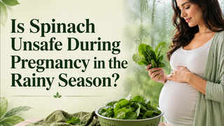 Is Spinach Unsafe During Pregnancy in the Rainy Season? Doctor Explains