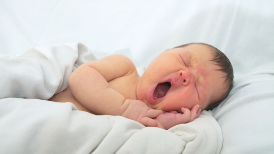 Premature Birth and Jaundice: Why Are Premature Babies More Likely to Develop It?
