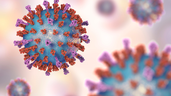 Chandipura Virus