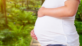 Is It Safe to Use Mosquito Repellent Patches on a Pregnant Belly?
