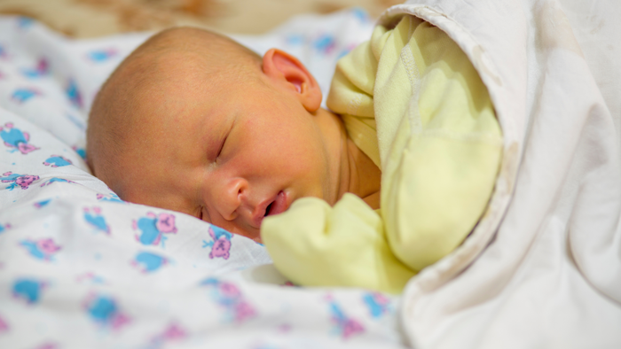 neonatal hepatitis2