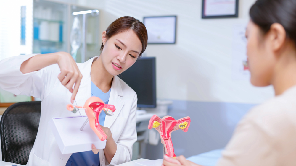 Why the Fallopian Tube Matters So Much