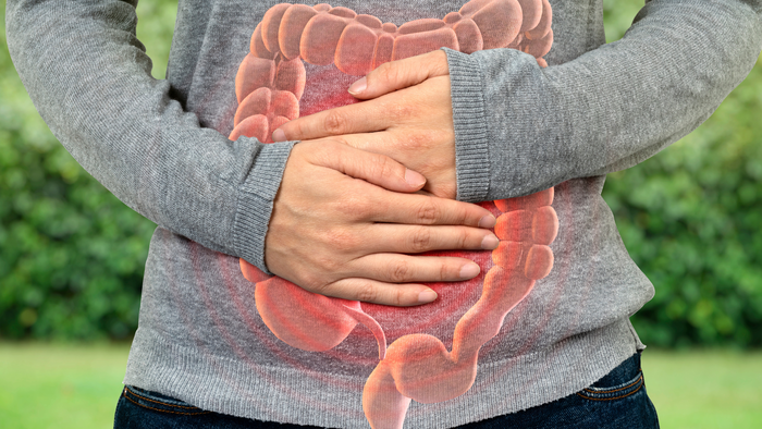 gut health before pregnancy