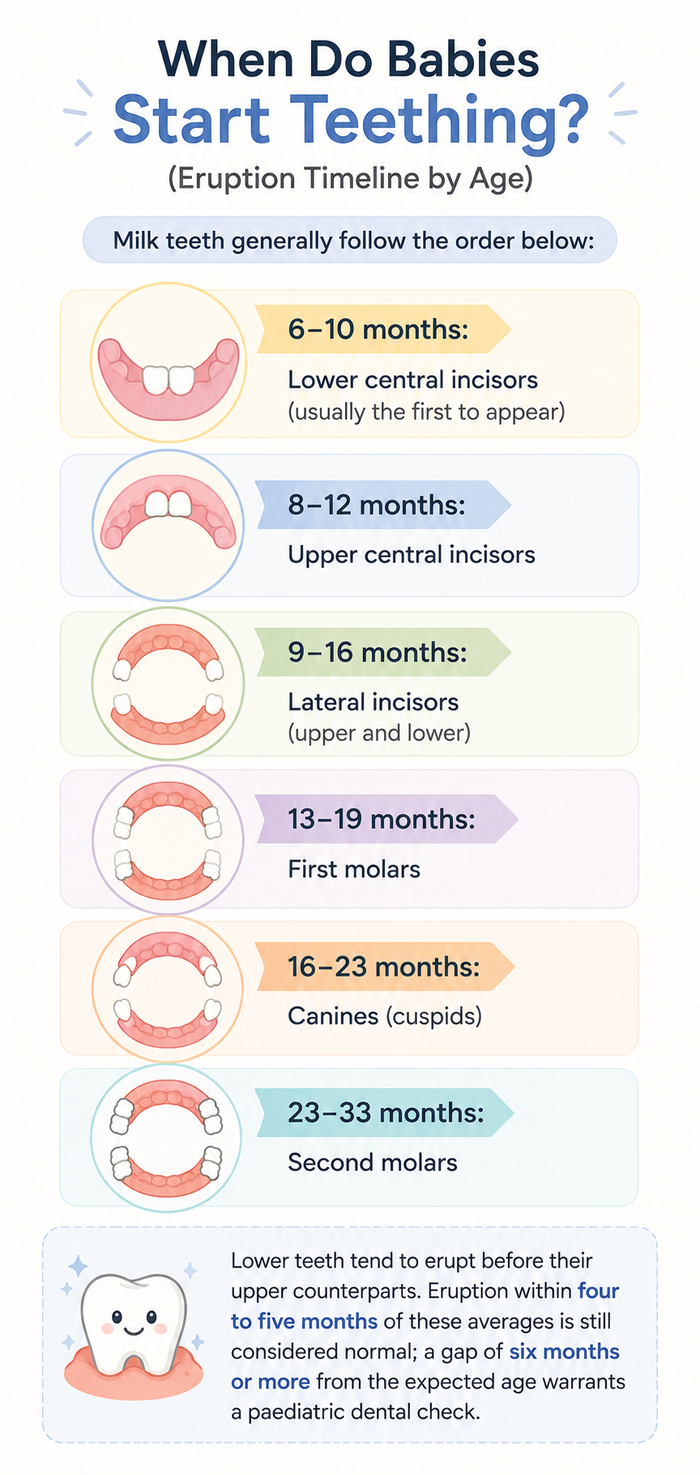 milk teeth in babies