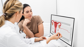 How Do Uterine Glands Support Implantation and Early Pregnancy?