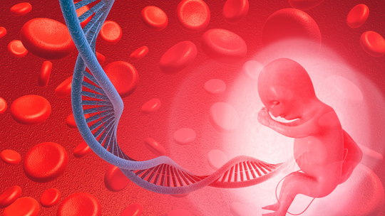 Common Misconceptions About Stem Cell Preservation