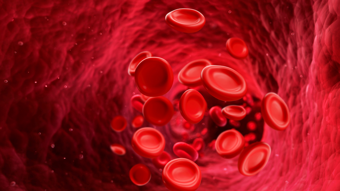low platelets in late pregnancy2